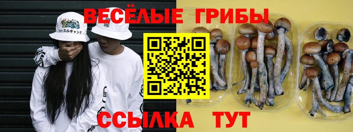 Галлюциногенные грибы мухоморы  Вход с VPN  Каменск-Уральский 