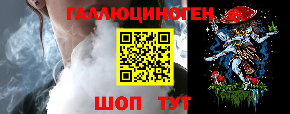 Псилоцибиновые грибы Psilocybe Каменск-Уральский